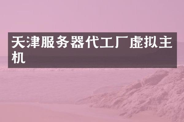 天津服务器代工厂虚拟主机