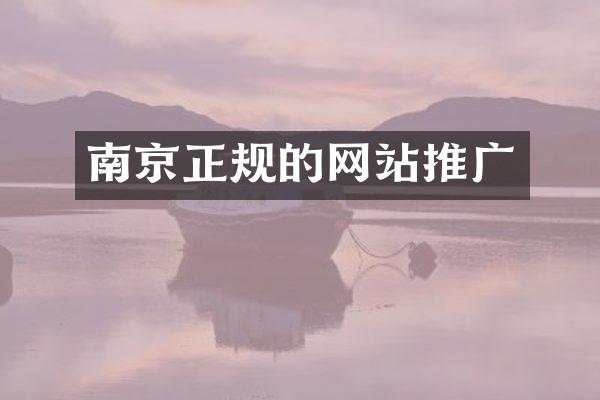 南京正规的网站推广