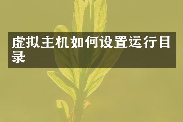 虚拟主机如何设置运行目录