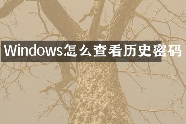 Windows怎么查看历史密码