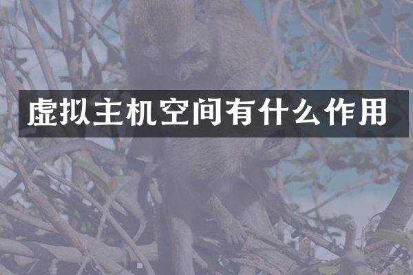 虚拟主机空间有什么作用