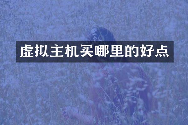 虚拟主机买哪里的好点