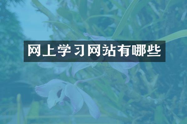 网上学习网站有哪些