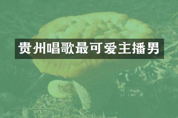 贵州唱歌最可爱主播男