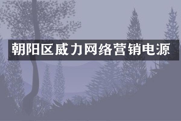 朝阳区威力网络营销电源