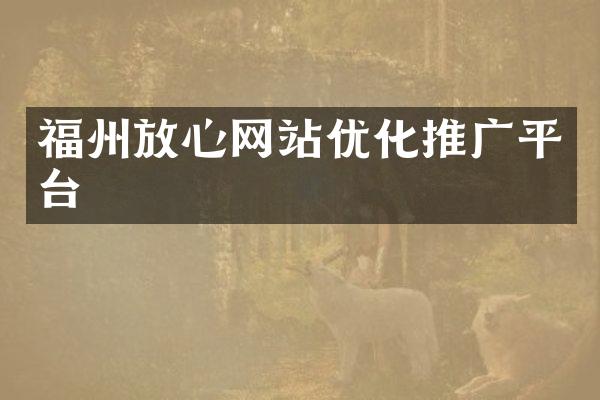 福州放心网站优化推广平台