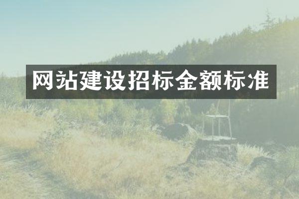 网站建设招标金额标准