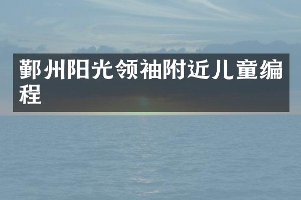鄞州阳光领袖附近儿童编程