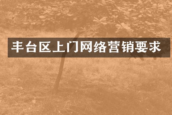 丰台区上门网络营销要求