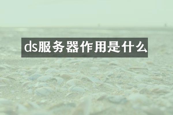 ds服务器作用是什么