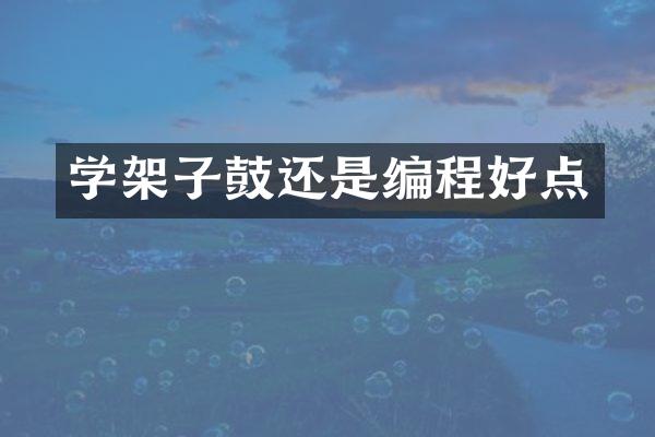 学架子鼓还是编程好点