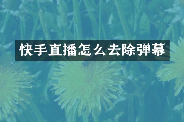 快手直播怎么去除弹幕