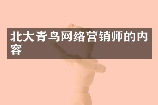 北大青鸟网络营销师的内容