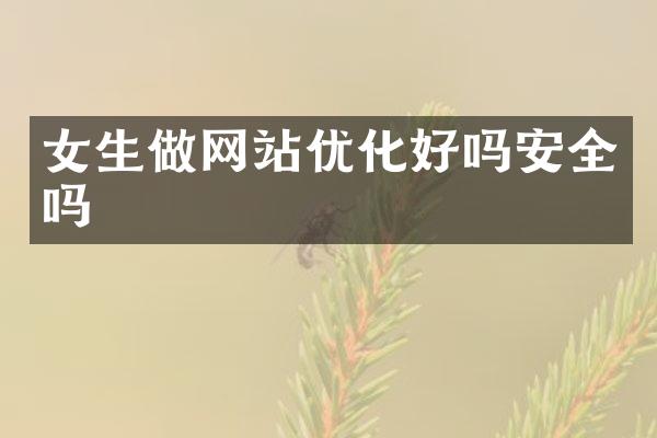 女生做网站优化好吗安全吗
