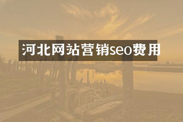 河北网站营销seo费用