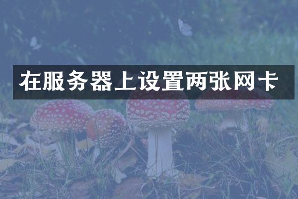 在服务器上设置两张网卡