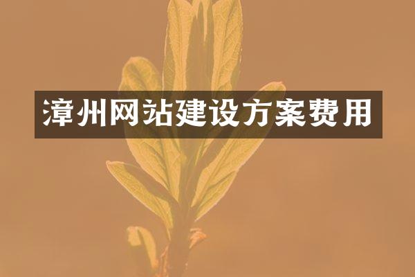 漳州网站建设方案费用