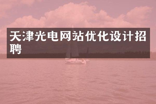 天津光电网站优化设计招聘