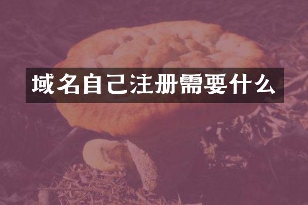 域名自己注册需要什么