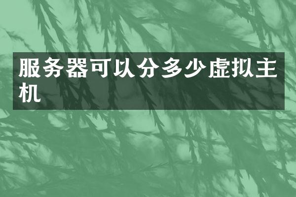 服务器可以分多少虚拟主机