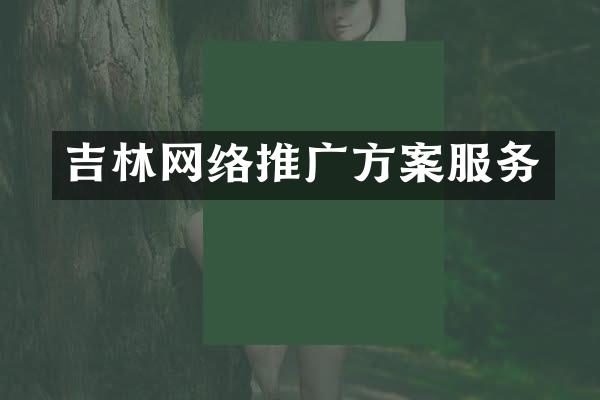 吉林网络推广方案服务