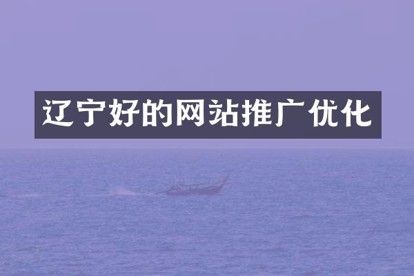 辽宁好的网站推广优化