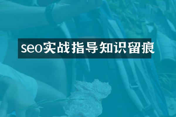 seo实战指导知识留痕