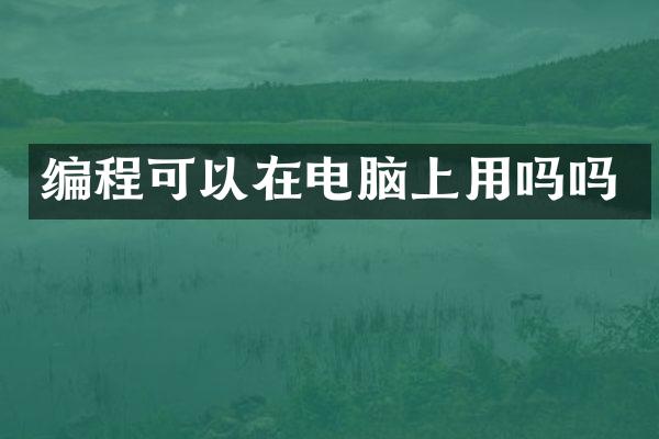 编程可以在电脑上用吗吗