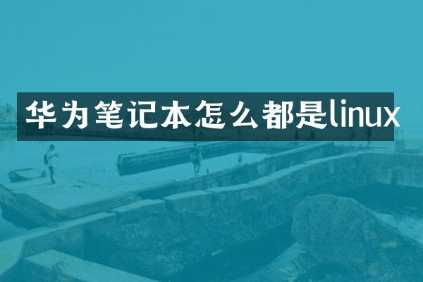 华为笔记本怎么都是linux