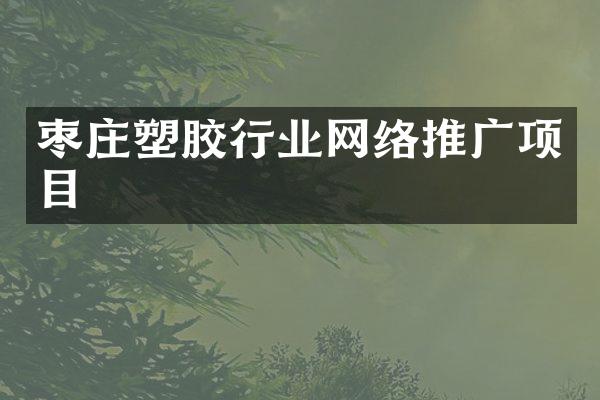 枣庄塑胶行业网络推广项目