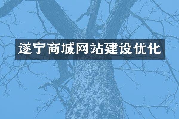 遂宁商城网站建设优化