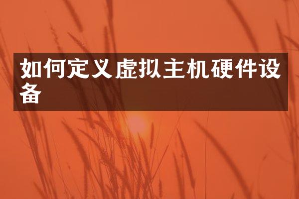 如何定义虚拟主机硬件设备