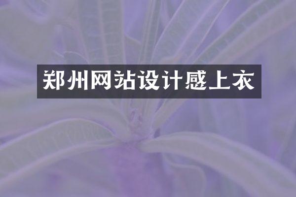 郑州网站设计感上衣