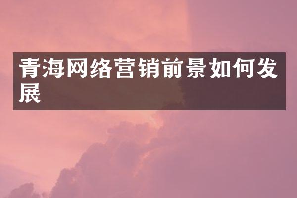 青海网络营销前景如何发展