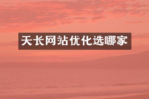 天长网站优化选哪家