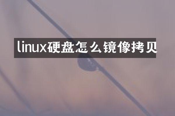 linux硬盘怎么镜像拷贝