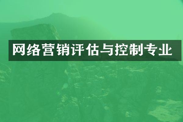 网络营销评估与控制专业