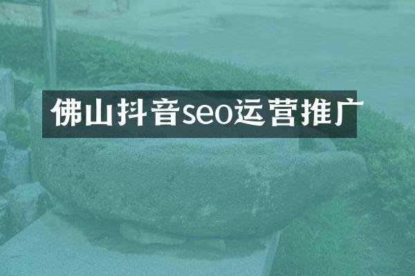 佛山抖音seo运营推广