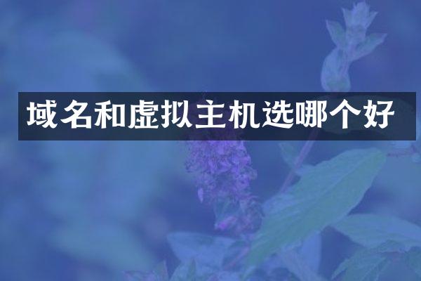 域名和虚拟主机选哪个好