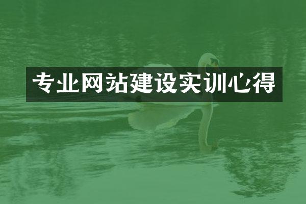 专业网站建设实训心得
