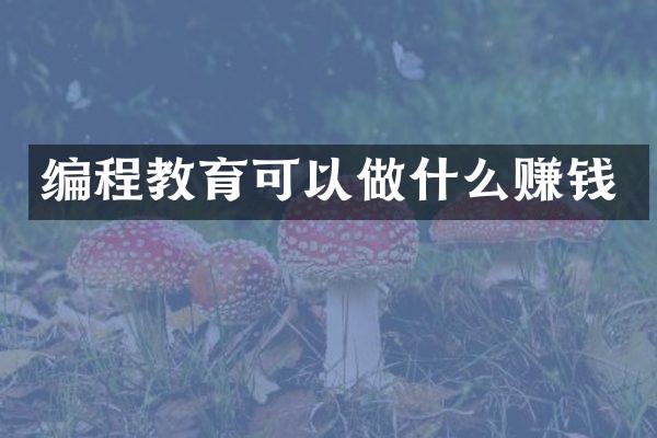 编程教育可以做什么赚钱