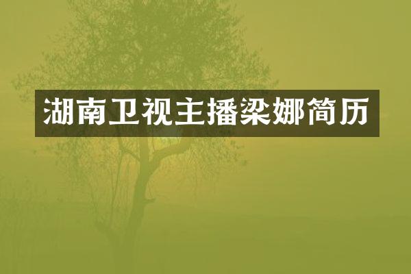 湖南卫视主播梁娜简历