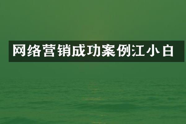 网络营销成功案例江小白