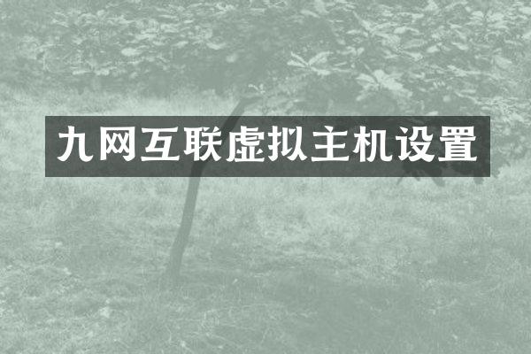 九网互联虚拟主机设置