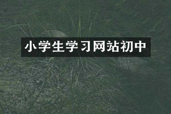 小学生学习网站初中