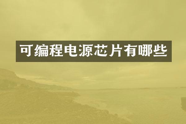 可编程电源芯片有哪些