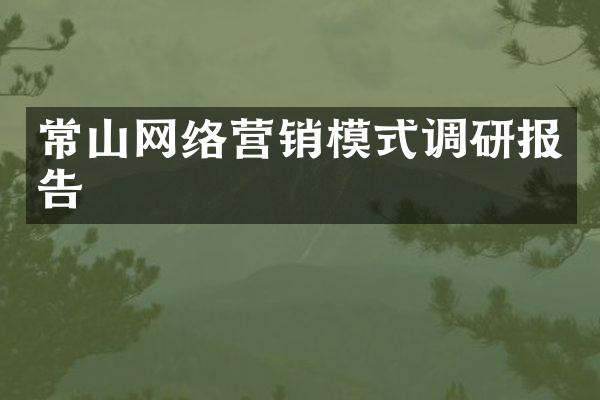 常山网络营销模式调研报告
