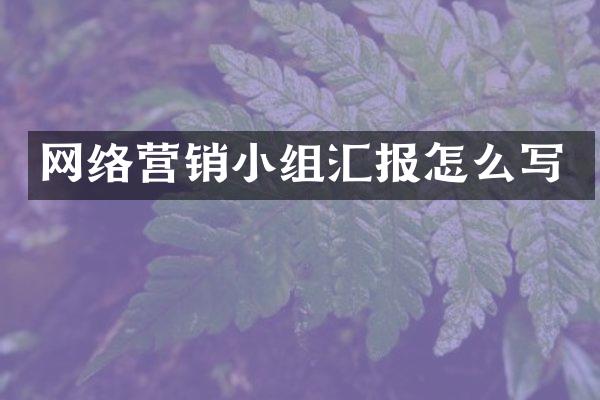 网络营销小组汇报怎么写