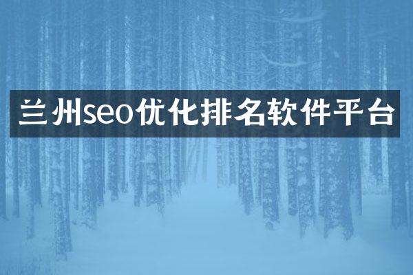 兰州seo优化排名软件平台