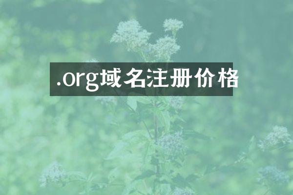 .org域名注册价格